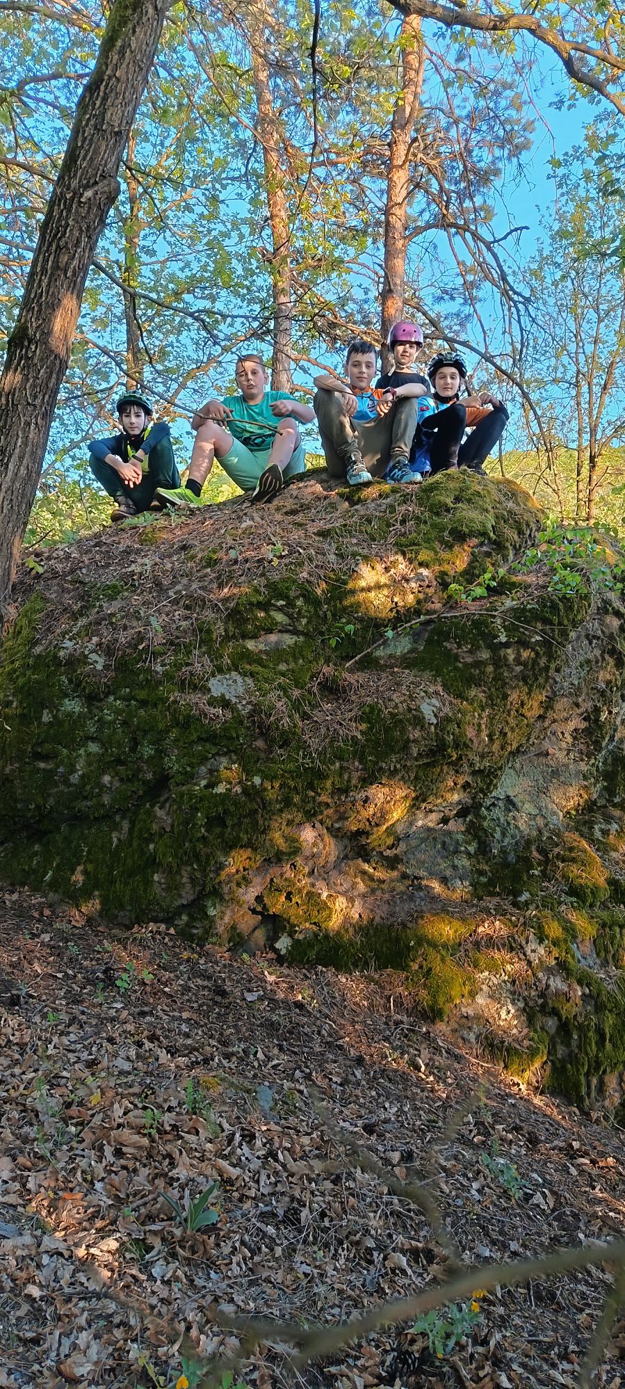 img00012
