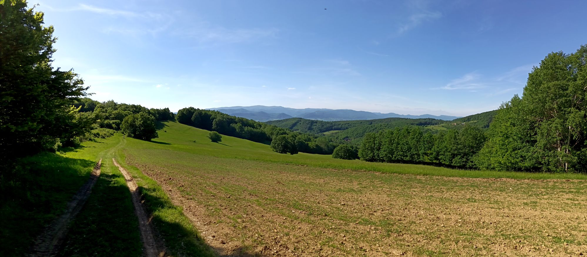 2026_05_22_Vyhne-Repiste05