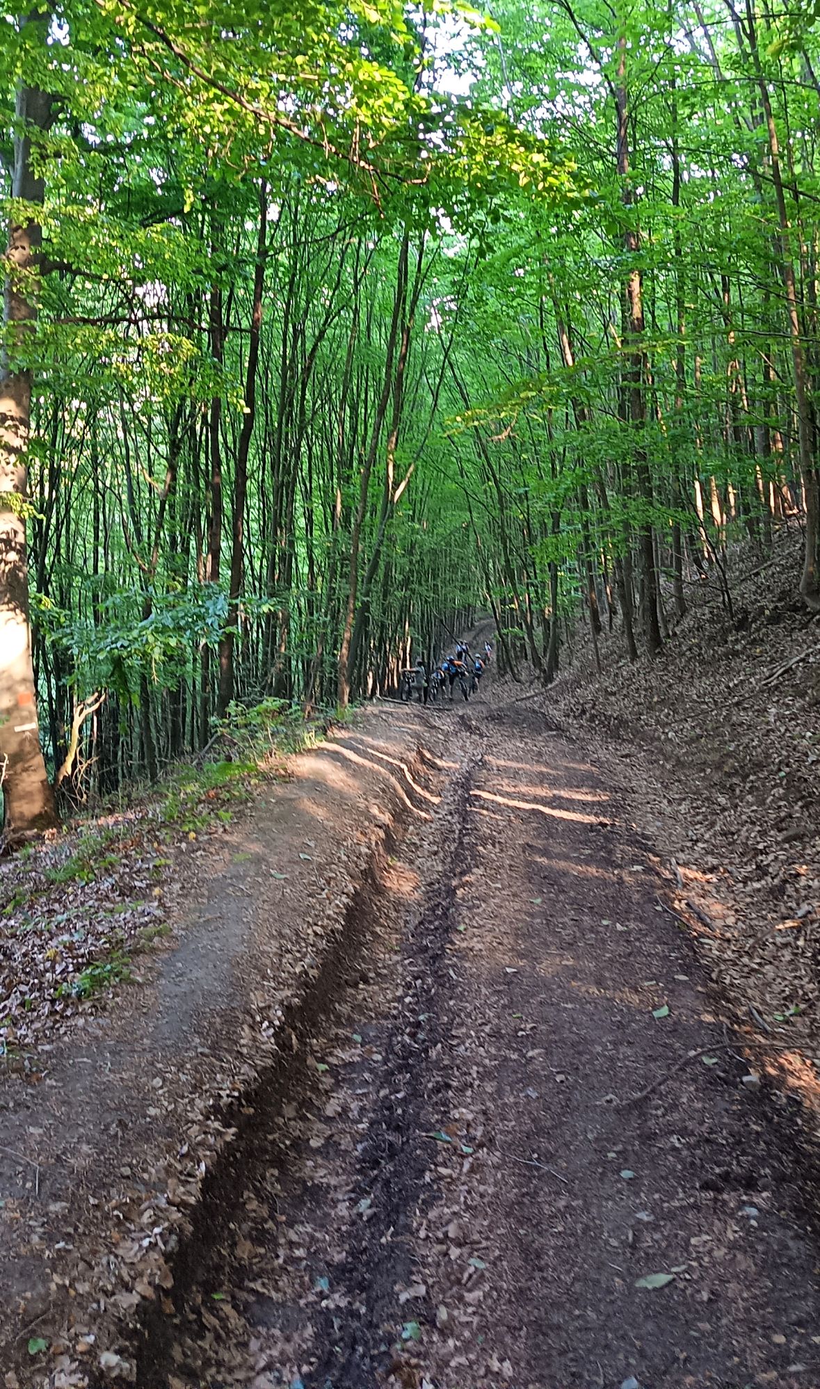 2026_05_22_Vyhne-Repiste29