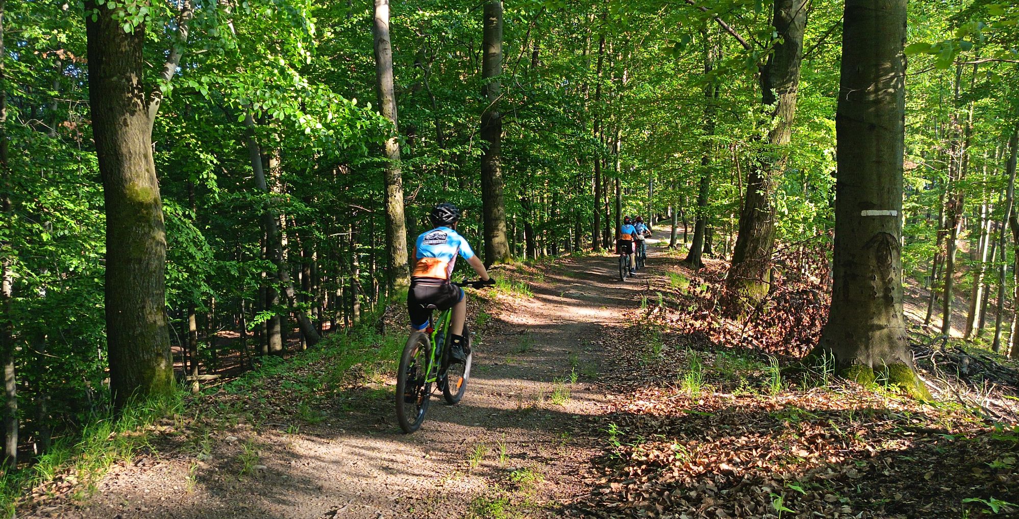2026_05_22_Vyhne-Repiste33