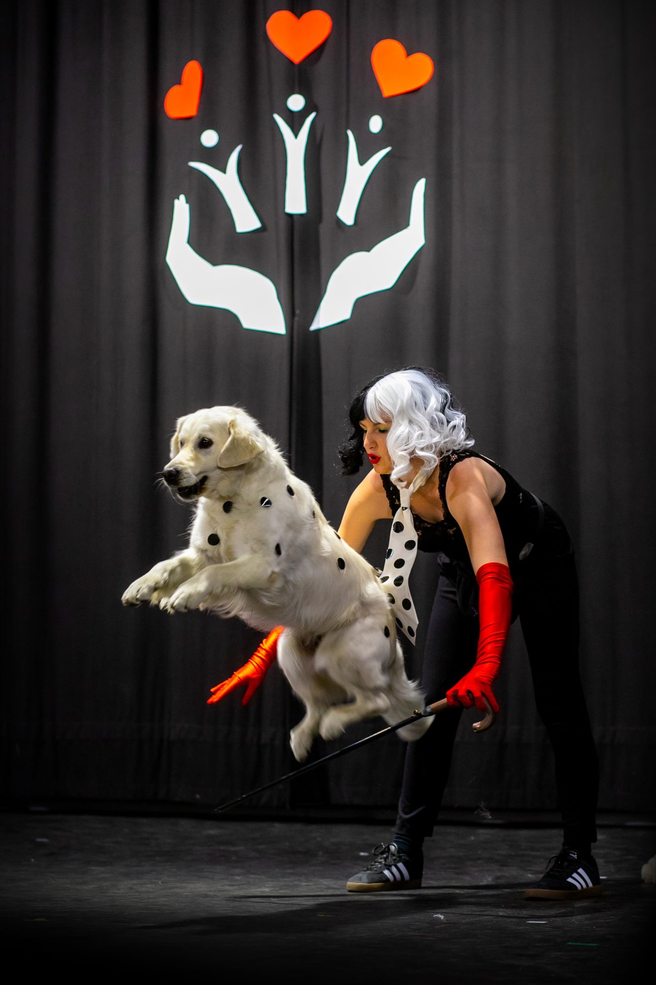 2026_05_24 DDFoto_033