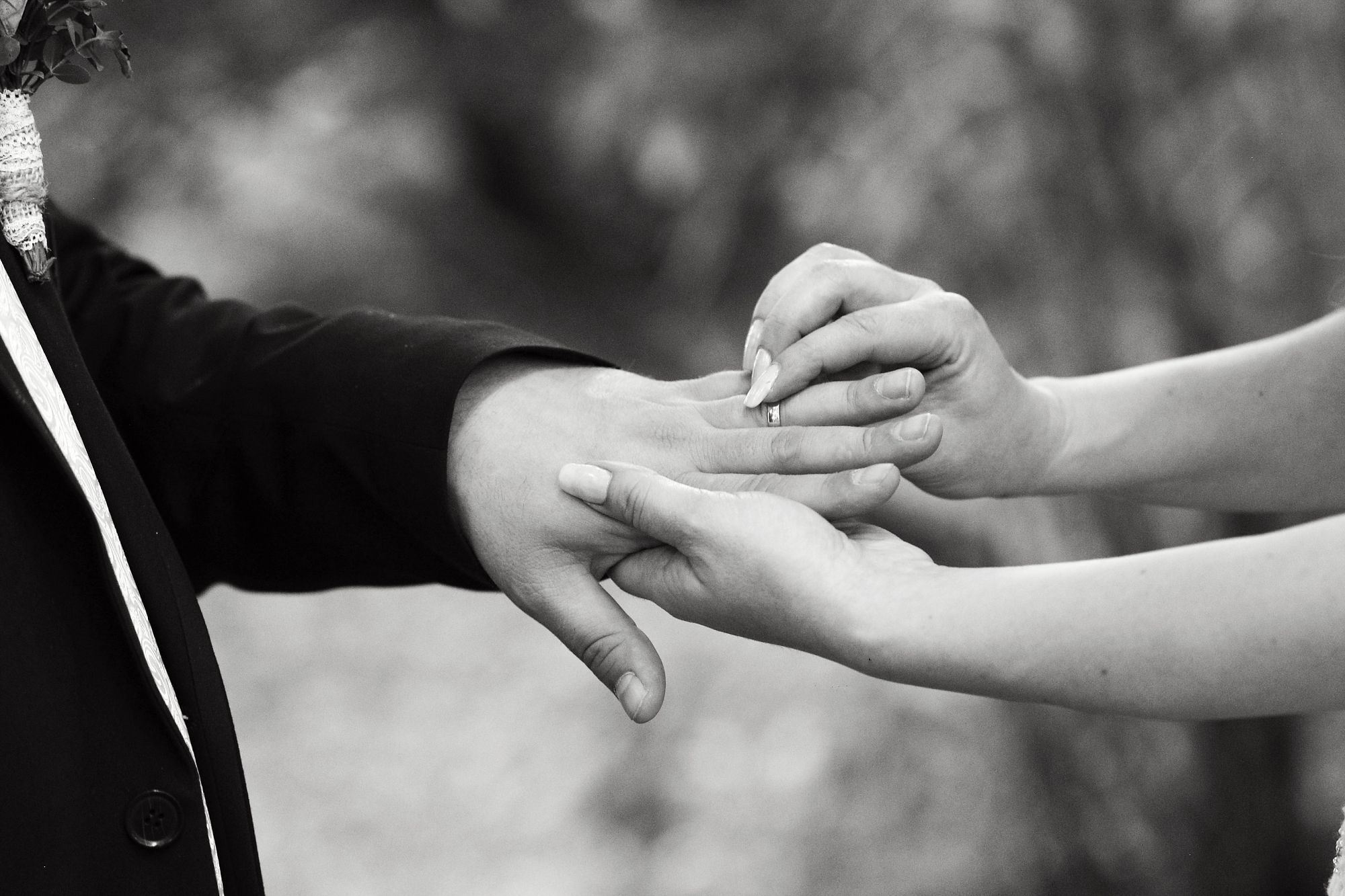 2026_DDFOTOr_K+L_07