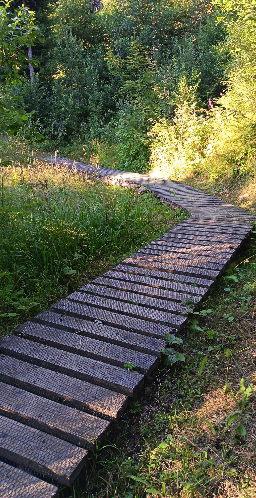 2026_08_15_Terchová_10